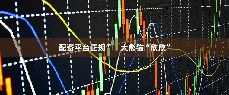 配资平台正规”    大熊猫“欣欣”