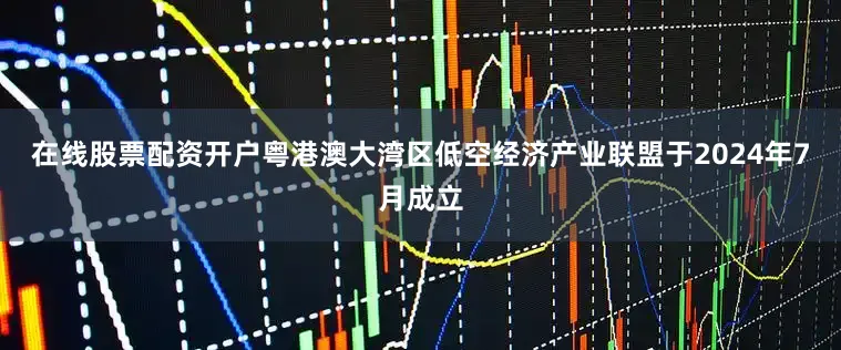 在线股票配资开户粤港澳大湾区低空经济产业联盟于2024年7月成立