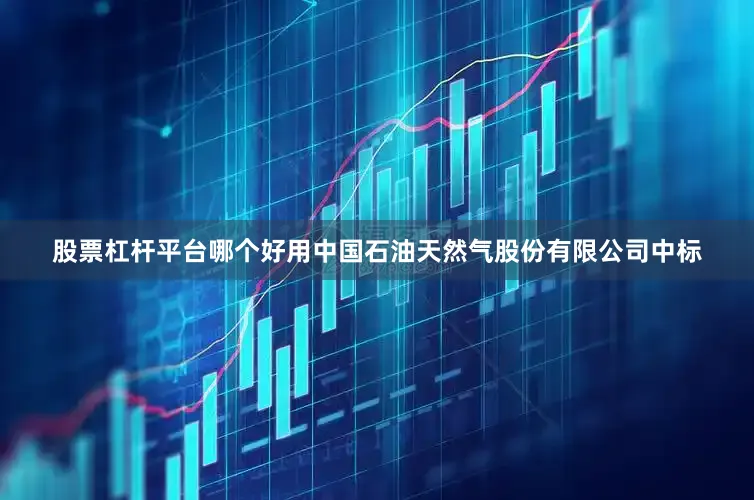股票杠杆平台哪个好用中国石油天然气股份有限公司中标