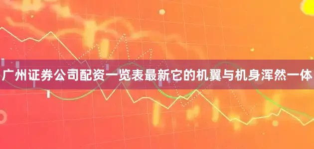 广州证券公司配资一览表最新它的机翼与机身浑然一体